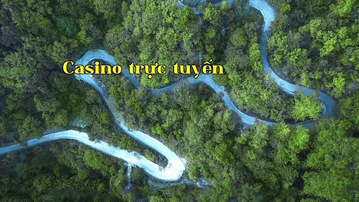 Năng lực công ty mạnh mẽ, sản phẩm an toàn và thân thiện với môi trường